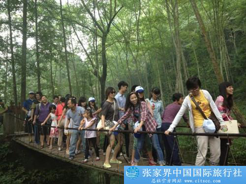 張家界跟團游,張家界自由行,張家界自駕游,張家界中國國際旅行社有限公司